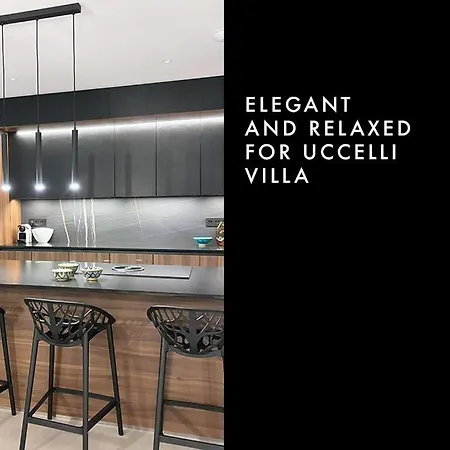 ヴィラ Uccelli Modern 5 Etoiles With Heated Pool For 12 People *